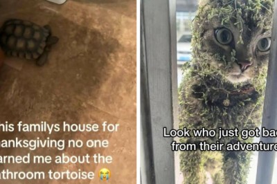 49 Funny And Dumb Screenshots That Show How Weird People On The Internet Can Be