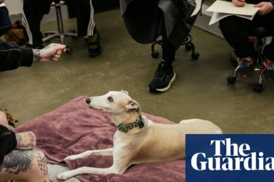 At greyhound life drawing, artists try to tackle complicated shapes