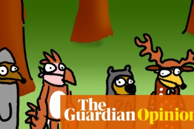 How do animals feel about stuff? Is this the most important question of our age? | First Dog on the Moon