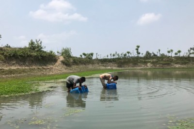 How saline drinking water raises preeclampsia risks in coastal Bangladesh (commentary)