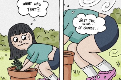 Mosquito Season