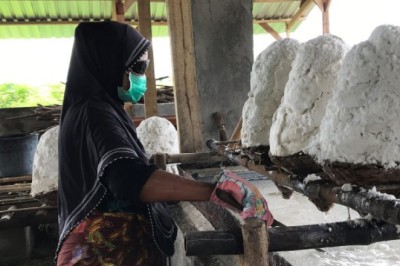 Sea salt in Lombok Island, Indonesia is contaminated with microplastics: study