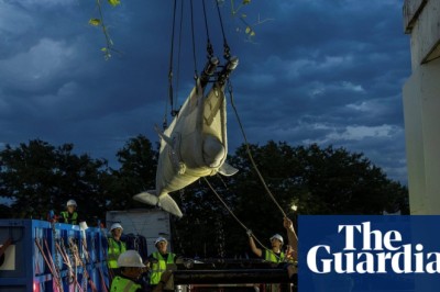 Six beluga whales finally leave embattled Canadian marine park