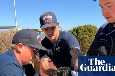 Small dog missing for weeks rescued while swimming in San Francisco Bay