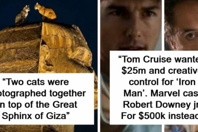 These 65 Fascinating Facts Might Ruin Your Productivity For The Rest Of The Day